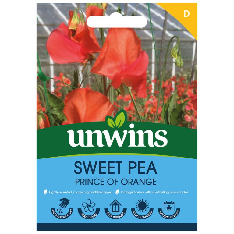 5051618038683 1 Sweet Pea Prince Of Orange Seeds.jpg